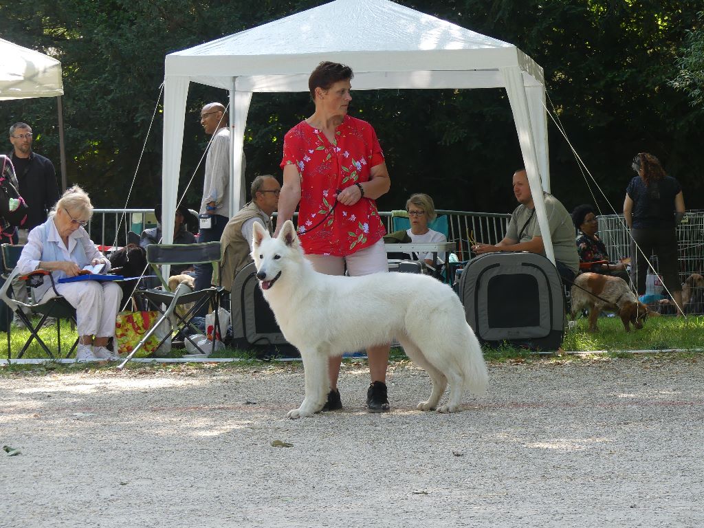 Opale Des chemins du poitou